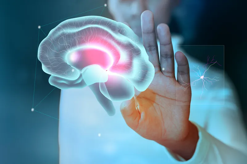 neurologia